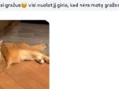 Čia ir dabar! Britukai iš Amber Villard. - nuotraukos Nr. 11