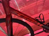 Trek domane AL 2 Gen 4 - nuotraukos Nr. 2