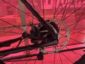 Trek domane AL 2 Gen 4 - nuotraukos Nr. 3