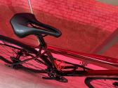 Trek domane AL 2 Gen 4 - nuotraukos Nr. 8