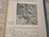 Svarbiausių miško medžių kenkėjai ir ligos - nuotraukos Nr. 6