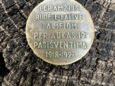 Laisvės medalis - nuotraukos Nr. 3