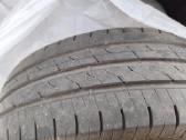 Vasarinės padangos - nuotraukos Nr. 5