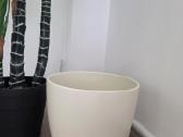 Dirbtinis augalas Monstera - nuotraukos Nr. 2