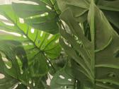 Dirbtinis augalas Monstera - nuotraukos Nr. 3