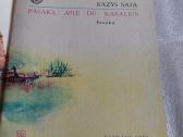 Pasaka apie du karalius - nuotraukos Nr. 2