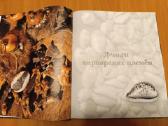 Senovinių pinigų albumas - nuotraukos Nr. 10