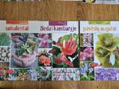 Žurnalai augalų mylėtojams 12 vnt. - nuotraukos Nr. 4