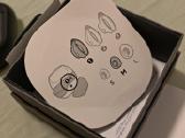 Bose Quietcomfort earbuds II - nuotraukos Nr. 5