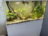 Akvariumas aquael 125l - nuotraukos Nr. 2