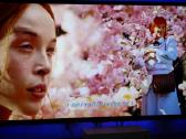 LG Oled48c21 (LG C2) - nuotraukos Nr. 3
