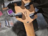 Peavey Millenium 5string bass - nuotraukos Nr. 4