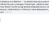 Britukai iš Amber Villard Cattery - nuotraukos Nr. 14