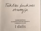 Tikslios plunksnos strategija. 11kl/12kl - nuotraukos Nr. 2