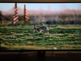 Xg27aqdmgr Oled 1440p 240hz Gsync - nuotraukos Nr. 2