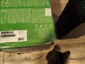 Xbox - nuotraukos Nr. 4
