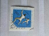 Sportas5>pasaulio pašto ženklai ->World stamps<- - nuotraukos Nr. 8