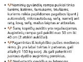 Šunų, šuns rampa, naminių gyvūnų rampa - nuotraukos Nr. 5