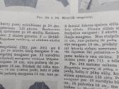 Mezgimas iki karinis - nuotraukos Nr. 6