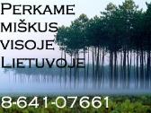 Perkame miškus brangiai , perku mišką
