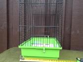 Narvelis - nuotraukos Nr. 2