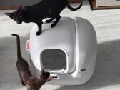 Savaime išsivalantis tualetas Petkit Purobot - nuotraukos Nr. 2