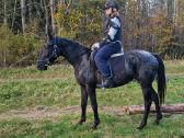 Apaloosa kumelė 3,5 m. - nuotraukos Nr. 8