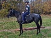 Apaloosa kumelė 3,5 m. - nuotraukos Nr. 9