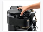 Melitta epos - nuotraukos Nr. 9