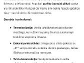 Magda lauko durys naujos neišpakuotos - nuotraukos Nr. 2