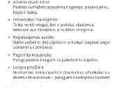 Pagalvė nėščiosioms - nuotraukos Nr. 6