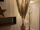 Pampas grass smilgos namu dekoracijai - nuotraukos Nr. 3