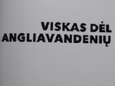Viskas dėl angliavandenių - nuotraukos Nr. 2