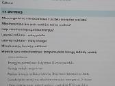 Viskas dėl angliavandenių - nuotraukos Nr. 7