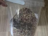 Pilnas akvariumo kompleksas - nuotraukos Nr. 9