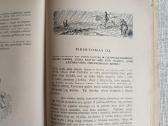 Don Kichotas I ir II dalys - nuotraukos Nr. 13