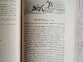 Don Kichotas I ir II dalys - nuotraukos Nr. 14