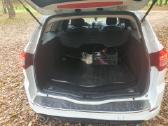 Ford Mondeo - nuotraukos Nr. 7