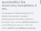 Tralas kaune 24/7 - nuotraukos Nr. 9