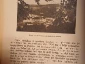 Parduodu knyga,1934m - nuotraukos Nr. 6