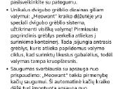 Išmanus,savaime issivalantis kačių tualetas - nuotraukos Nr. 5