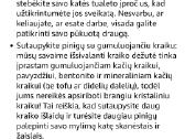Išmanus,savaime issivalantis kačių tualetas - nuotraukos Nr. 6