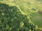 1,3156ha Namų Valda prie upės (5 km nuo Molėtų) - nuotraukos Nr. 8