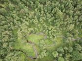1,3156ha Namų Valda prie upės (5 km nuo Molėtų) - nuotraukos Nr. 13