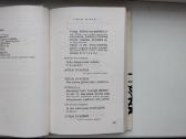 J. Grušas. Barbora Radvilaitė. Švitrigaila. Unija. - nuotraukos Nr. 8