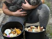 Ieško naujų namų nuostabi Cane Corso kalytė - nuotraukos Nr. 2