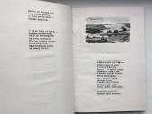 E. Mieželaitis. Broliška poema. 1954 m. leid. - nuotraukos Nr. 3