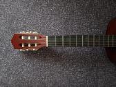 Gitara - nuotraukos Nr. 4