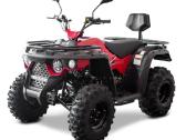Linhai M210 2x4 Efi T3b, keturratis - nuotraukos Nr. 2