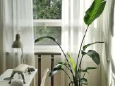 Parduodami baldai / interjero detalės - nuotraukos Nr. 5